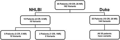 Molecular Measurable Residual Disease Testing of Blood During AML Cytotoxic Therapy for Early Prediction of Clinical Response